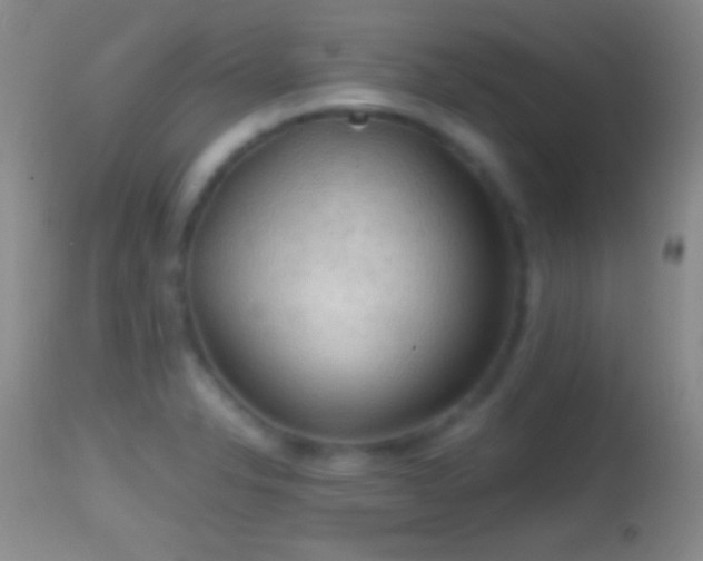 X0000114651326200910201500