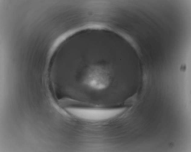 X0000114651327200910201500