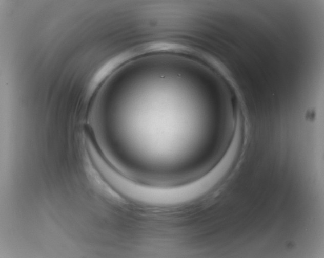 X0000114651330200910201500