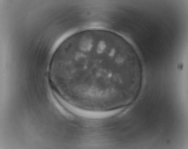 X0000114651333200910201500