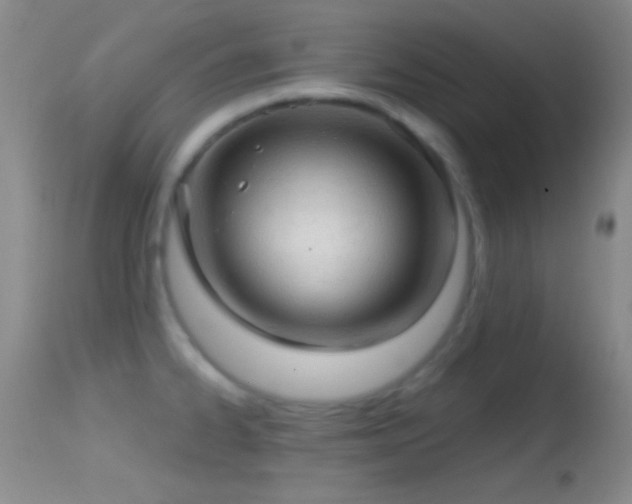 X0000114651334200910201500