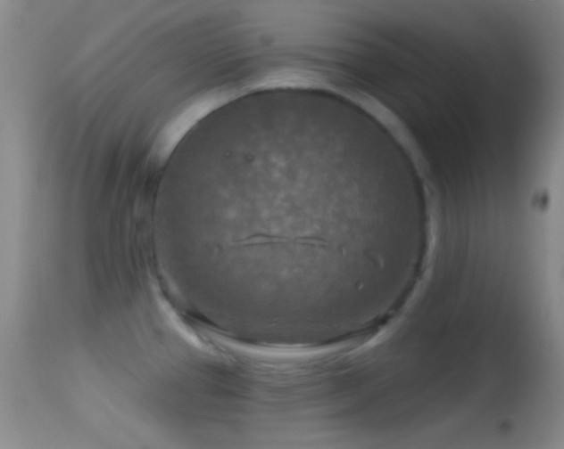 X0000114651337200910201500