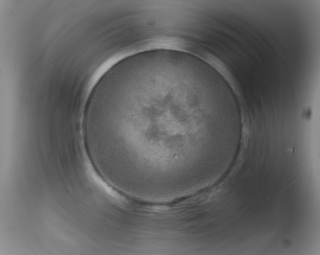 X0000114651339200910201500