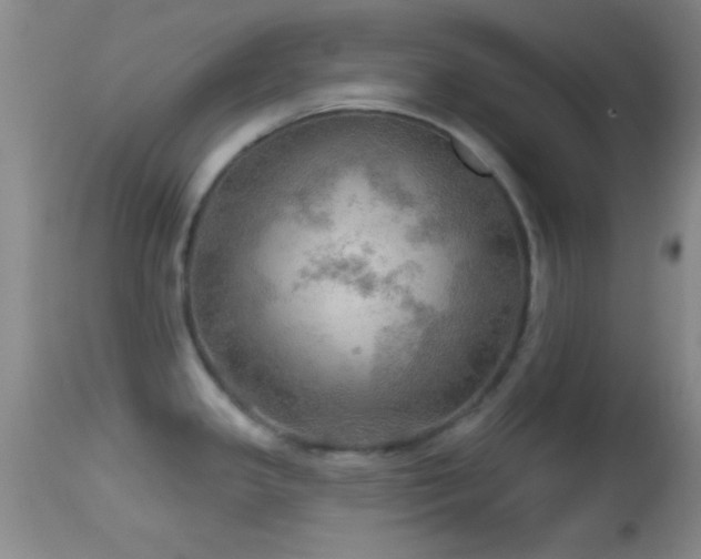 X0000114651341200910201500