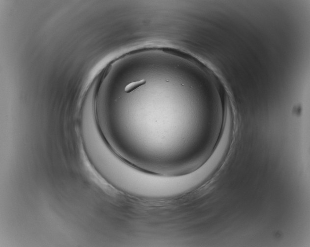 X0000114651342200910201500
