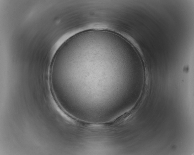 X0000114651343200910201500