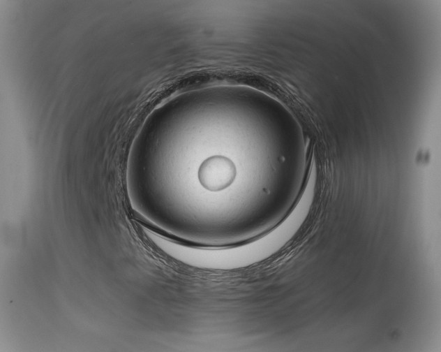 X0000114651345200910201459