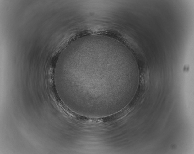 X0000114651346200910201459