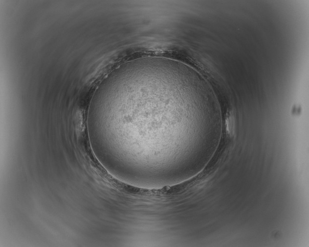 X0000114651347200910201459