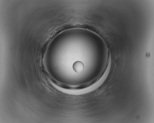 X0000114651348200910201459