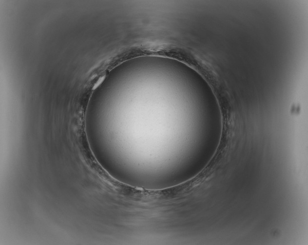 X0000114651349200910201459