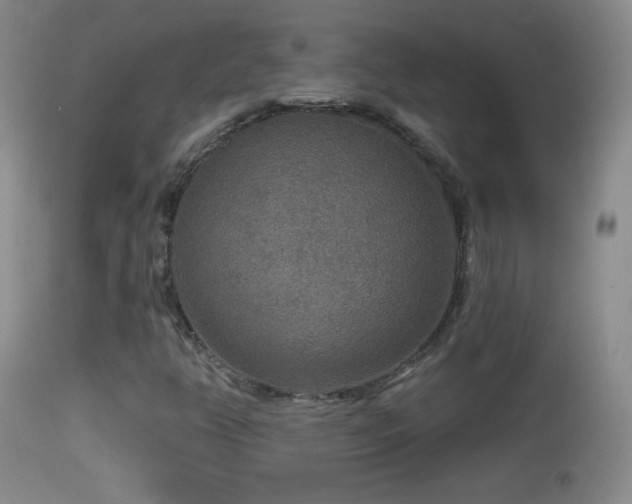 X0000114651350200910201459