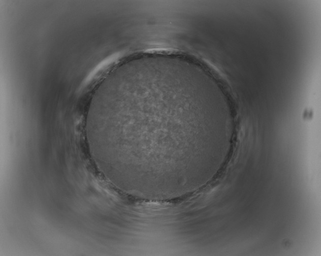 X0000114651351200910201459