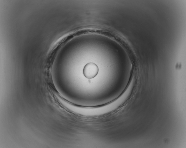 X0000114651352200910201459