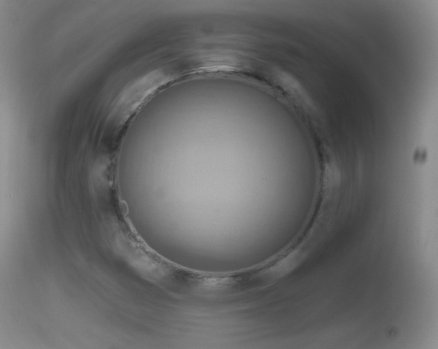 X0000114651353200910201459