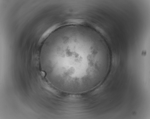 X0000114651354200910201459