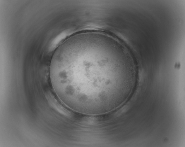 X0000114651355200910201459