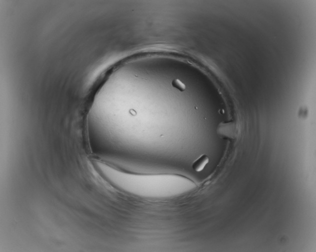 X0000114651356200910201459