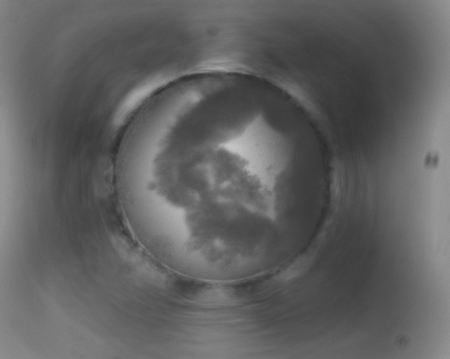 X0000114651358200910201459