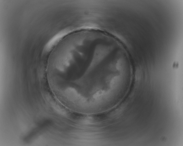 X0000114651359200910201459
