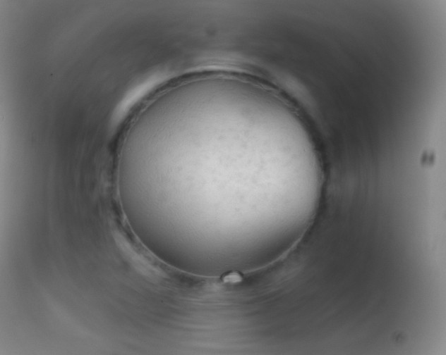 X0000114651360200910201459