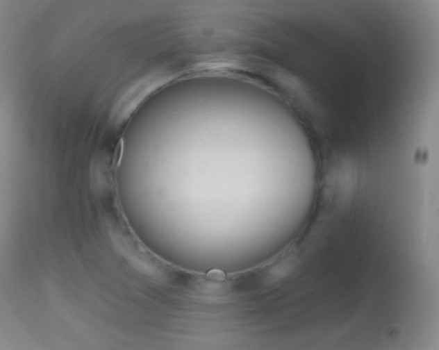 X0000114651361200910201459