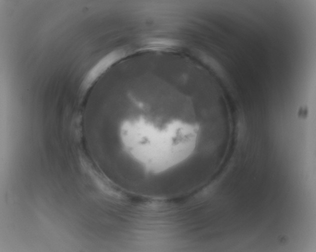 X0000114651362200910201459