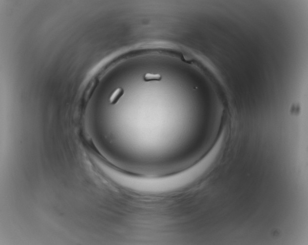 X0000114651364200910201459