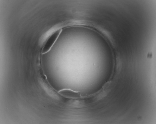 X0000114651365200910201459