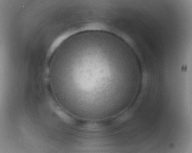 X0000114651366200910201459