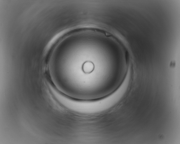 X0000114651368200910201459