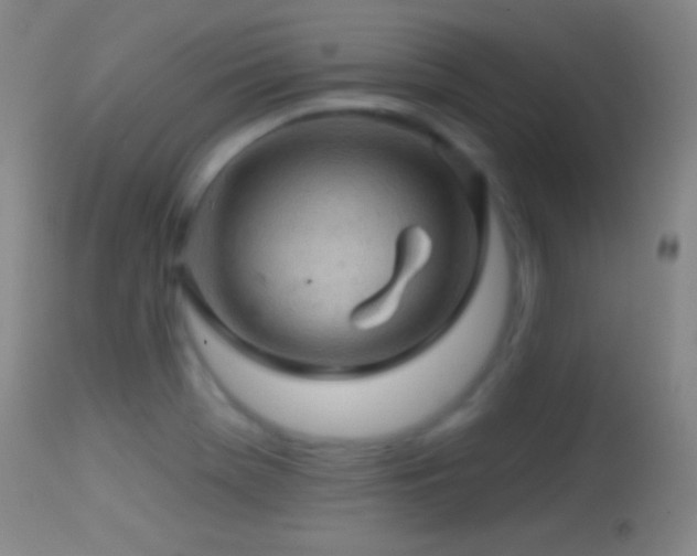 X0000114651369200910201459