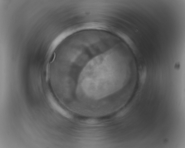 X0000114651371200910201459