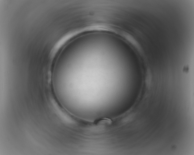 X0000114651372200910201459