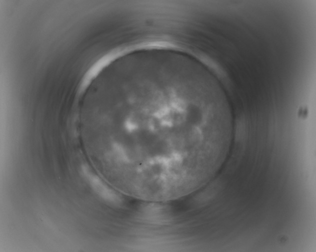 X0000114651374200910201459