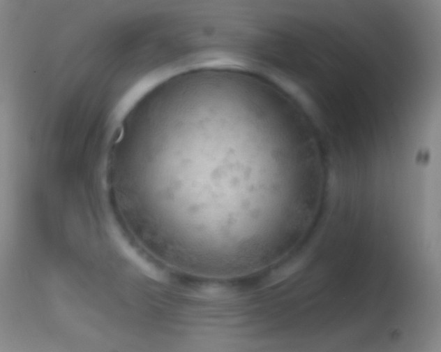 X0000114651375200910201459