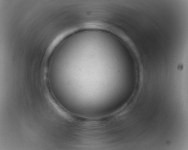 X0000114651376200910201459