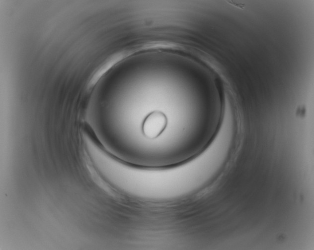 X0000114651377200910201459