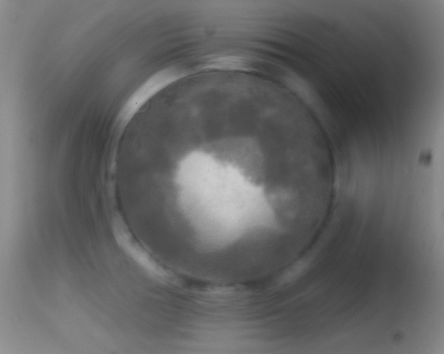 X0000114651378200910201459