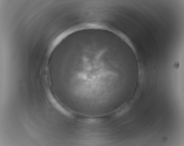 X0000114651381200910201459