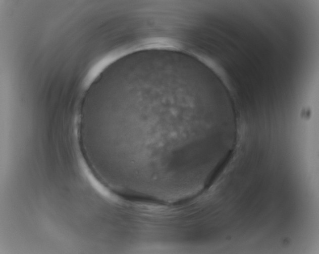 X0000114651383200910201459