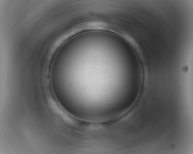 X0000114651384200910201459