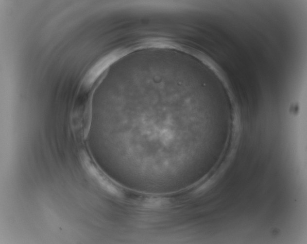 X0000114651385200910201459