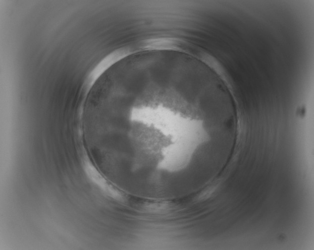 X0000114651386200910201459