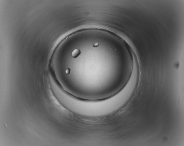 X0000114651388200910201459