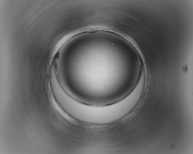 X0000114651389200910201459