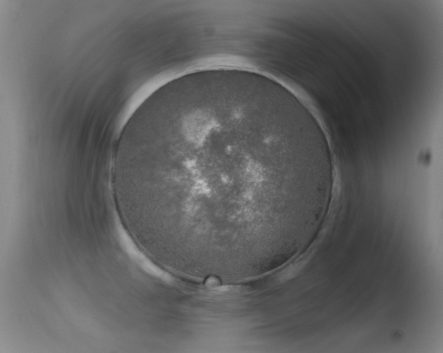 X0000114651390200910201459