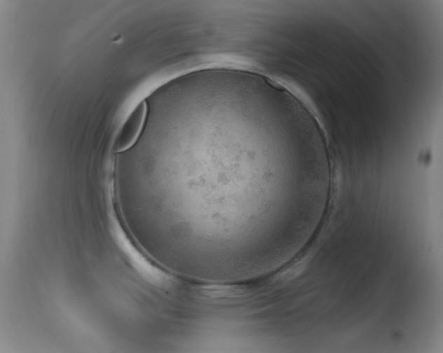 X0000114651391200910201459