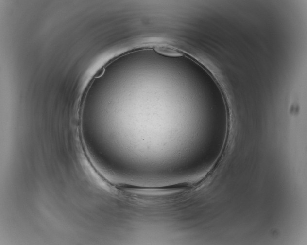 X0000114651392200910201459