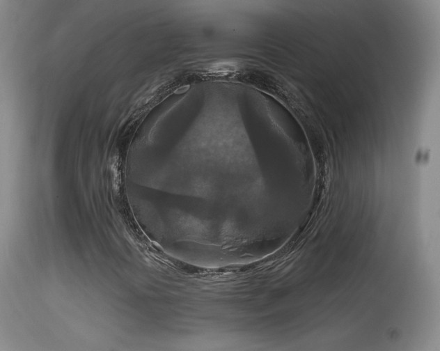 X0000114651394200910201458